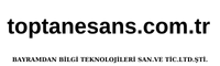 Bayramdan bilgi teknolojileri san. ve tic. ltd.şti.