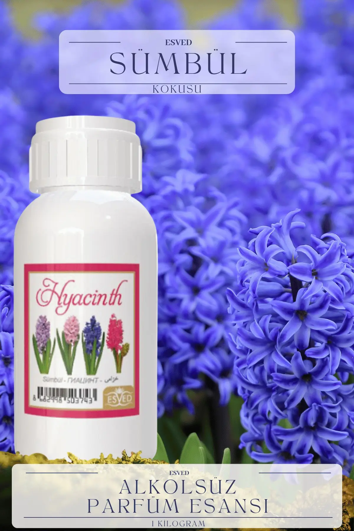 Sümbül Kokusu Toptan Parfüm Esansı 1 Kilogram